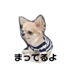 はなつみきなこ（個別スタンプ：12）