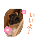 うちの日村さん と 神田さん（個別スタンプ：5）