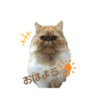S..ねこ(おまけ)（個別スタンプ：1）