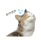 S..ねこ(おまけ)（個別スタンプ：2）
