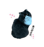 S..ねこ(おまけ)（個別スタンプ：5）