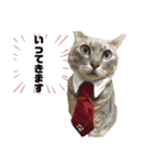 S..ねこ(おまけ)（個別スタンプ：8）