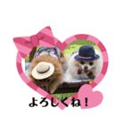 Leo and Lily ポメラニアン（個別スタンプ：2）