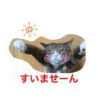 さんがとなめろうの便利なスタンプ（個別スタンプ：5）