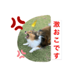 さんがとなめろうの便利なスタンプ（個別スタンプ：6）
