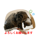 さんがとなめろうの便利なスタンプ（個別スタンプ：8）