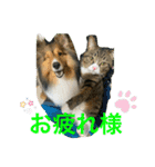 さんがとなめろうの便利なスタンプ（個別スタンプ：12）