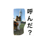 さんがとなめろうの便利なスタンプ（個別スタンプ：26）