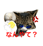 さんがとなめろうの便利なスタンプ（個別スタンプ：39）