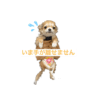 ロコたん♡（個別スタンプ：3）
