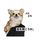 ロコたん♡（個別スタンプ：8）