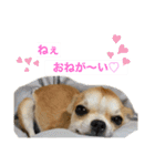 ロコたん♡（個別スタンプ：12）