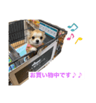 ロコたん♡（個別スタンプ：14）