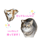 ロコたん♡（個別スタンプ：17）