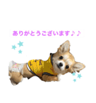 ロコたん♡（個別スタンプ：24）