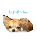 ロコたん♡（個別スタンプ：29）