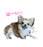 ロコたん♡（個別スタンプ：38）