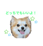 ロコたん♡（個別スタンプ：39）