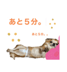 ロコたん♡（個別スタンプ：40）