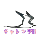 野鳥のはんこ スタンプ③（個別スタンプ：5）