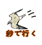 野鳥のはんこ スタンプ③（個別スタンプ：7）