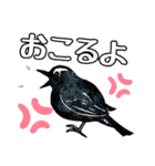 野鳥のはんこ スタンプ③（個別スタンプ：13）