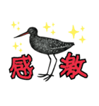 野鳥のはんこ スタンプ③（個別スタンプ：20）