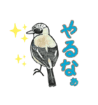 野鳥のはんこ スタンプ③（個別スタンプ：22）