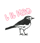 野鳥のはんこ スタンプ③（個別スタンプ：26）
