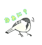 野鳥のはんこ スタンプ③（個別スタンプ：32）