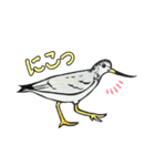 野鳥のはんこ スタンプ③（個別スタンプ：33）