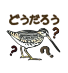 野鳥のはんこ スタンプ③（個別スタンプ：39）