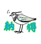 野鳥のはんこ スタンプ③（個別スタンプ：40）