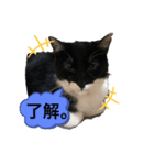 モニカ達の小言2️⃣（個別スタンプ：4）