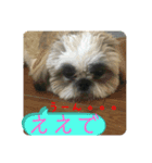 ハウくんスタンプ6-ええよ（個別スタンプ：3）