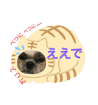 ハウくんスタンプ6-ええよ（個別スタンプ：4）