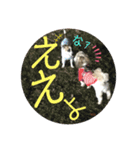 ハウくんスタンプ6-ええよ（個別スタンプ：7）