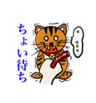 【公式】キャプテン・ジン スタンプ（個別スタンプ：13）