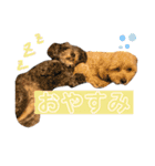 こっぱうスタンプ（個別スタンプ：8）
