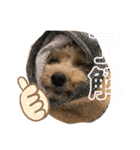 こっぱうスタンプ（個別スタンプ：11）