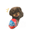こっぱうスタンプ（個別スタンプ：18）