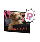 楓乃Pんち 4姉兄妹（個別スタンプ：3）