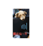 楓乃Pんち 4姉兄妹（個別スタンプ：4）