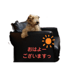 楓乃Pんち 4姉兄妹（個別スタンプ：13）
