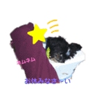 楓乃Pんち 4姉兄妹（個別スタンプ：20）
