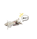ごやめい2（個別スタンプ：1）