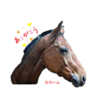 フランスの乗馬クラブの馬（個別スタンプ：1）