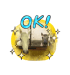 フランスの乗馬クラブの馬（個別スタンプ：7）
