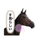 フランスの乗馬クラブの馬（個別スタンプ：21）