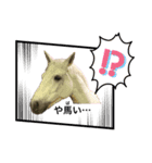 フランスの乗馬クラブの馬（個別スタンプ：23）